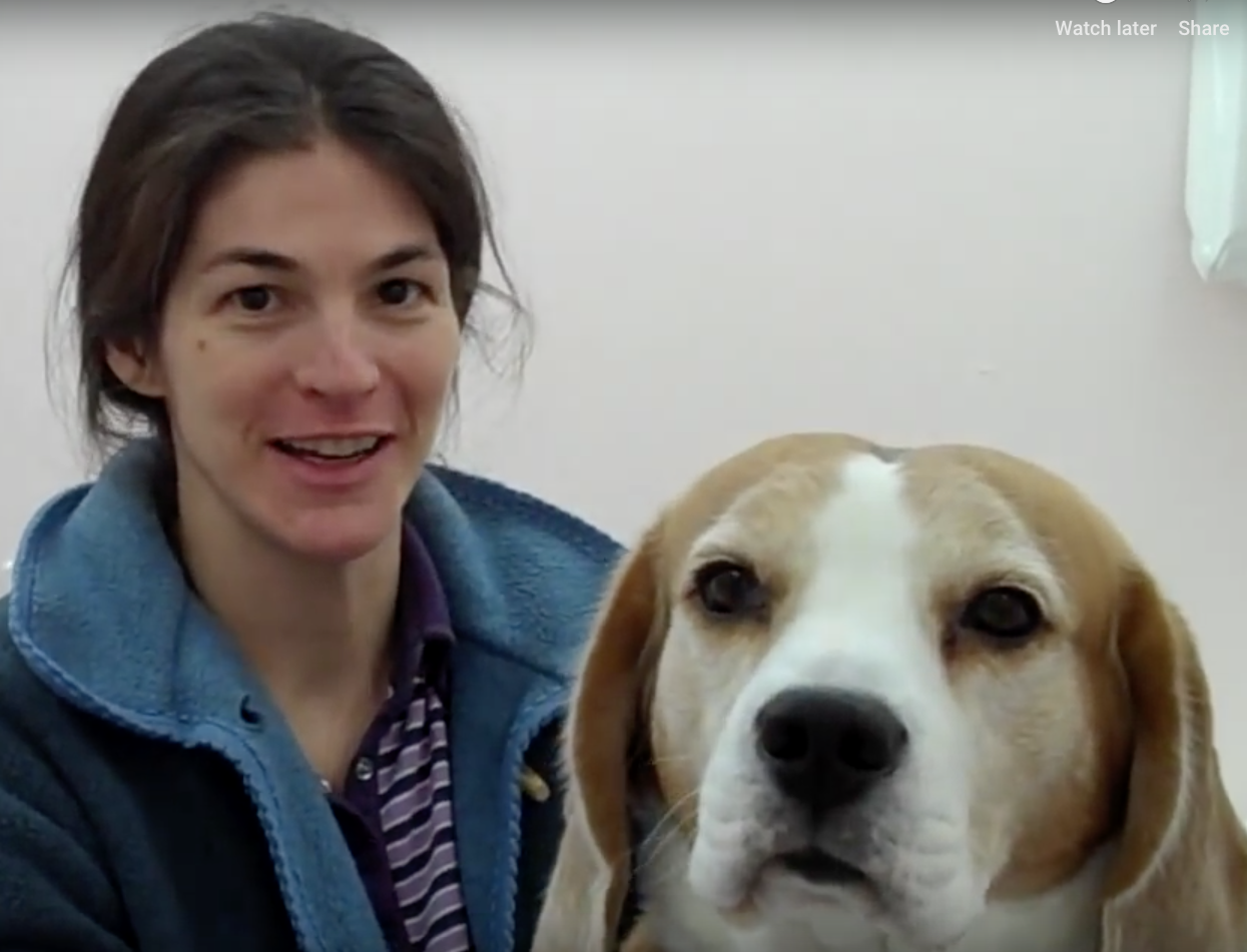 Veterinarian near me, Animal hospital Geneva, Geneva Animal hospital,Veterinary clinic Geneva, Geneva Veterinary clinic,Veterinary clinic near me, Veterinary hospital Geneva, Geneva Veterinary hospital, Pet care Geneva, Geneva Pet care, Petcare Geneva, Geneva Petcare, Vet hospital Geneva, Geneva Vet hospital