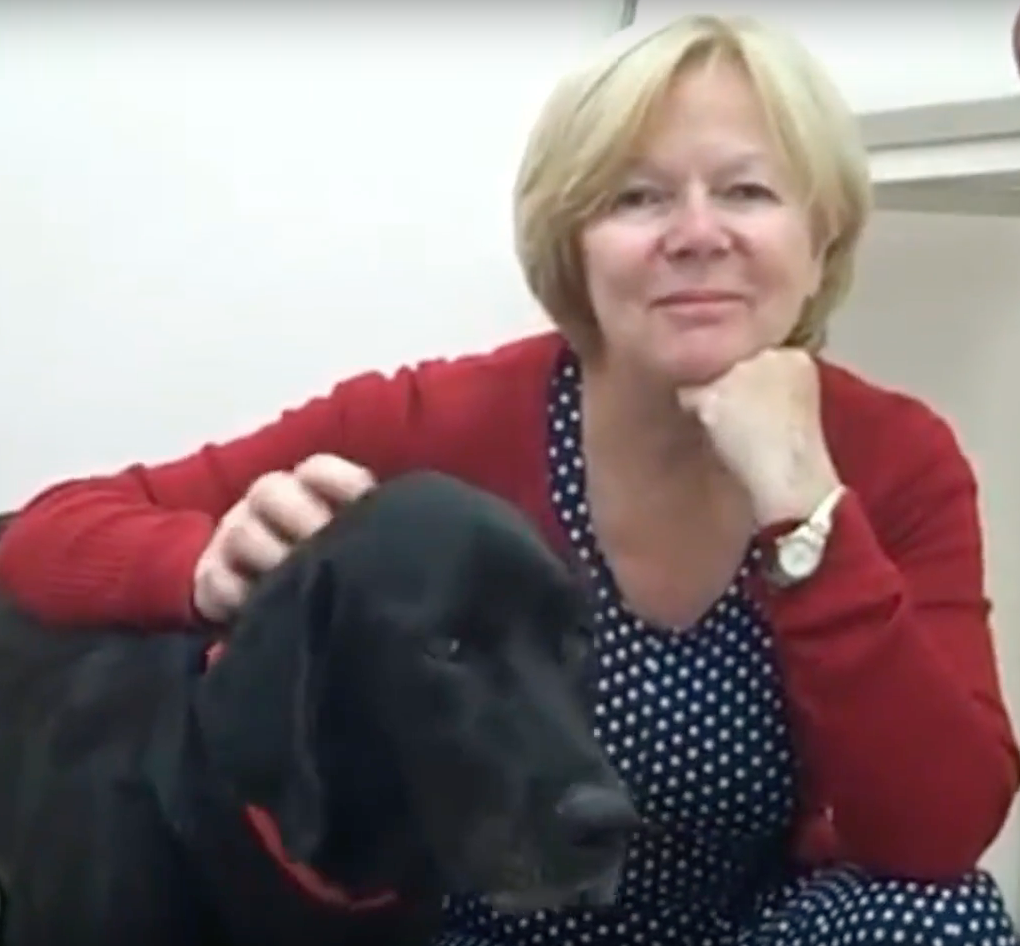 Maggy the dog, Vétérinaire Versoix, Veterinaire Versoix, Versoix Veterinaire, Versoix Vétérinaire, cabinet vétérinaire versoix, cabinet veterinaire versoix, clinique vétérinaire versoix, vétérinaire de Garde Versoix,veterinaire de Garde Versoix, Cabinet Vétérinaire International