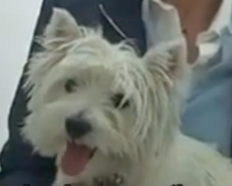 Veterinarian near me, Animal hospital Geneva, Geneva Animal hospital,Veterinary clinic Geneva, Geneva Veterinary clinic,Veterinary clinic near me, Veterinary hospital Geneva, Geneva Veterinary hospital, Pet care Geneva, Geneva Pet care, Petcare Geneva, Geneva Petcare, Vet hospital Geneva, Geneva Vet hospital